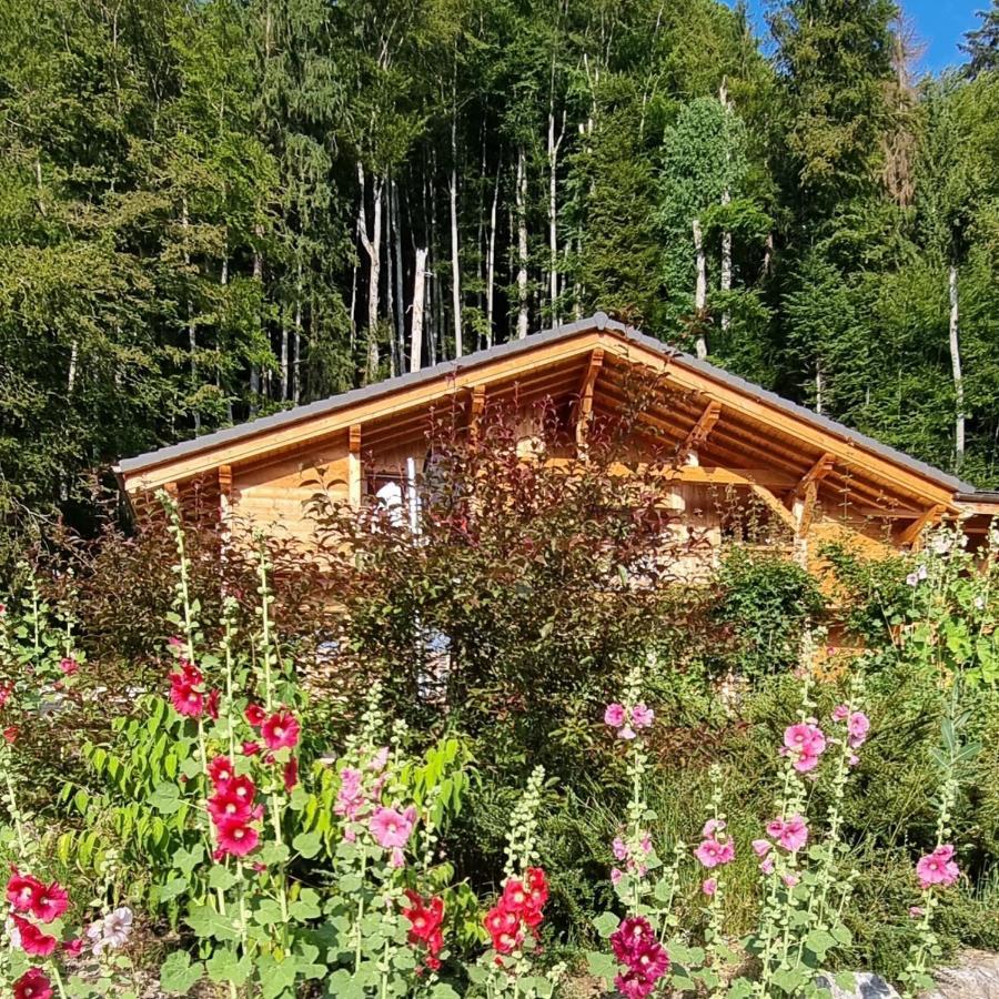Chalet Arpitan - Les Carroz - Grand Massif Экстерьер фото